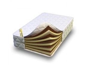 Medium Baby 2549